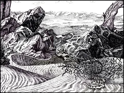 Variations of a Theme bw