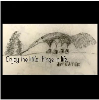 Animal #1 Anteater