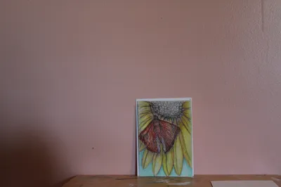 The moth and The Sun Flower