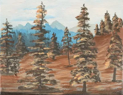 Long’sPeak through the pines