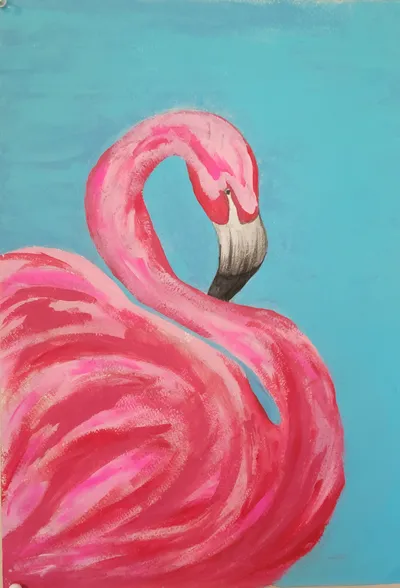 Flamingo