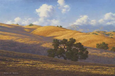 When the Light Touches the Land