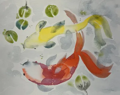 Koi fish