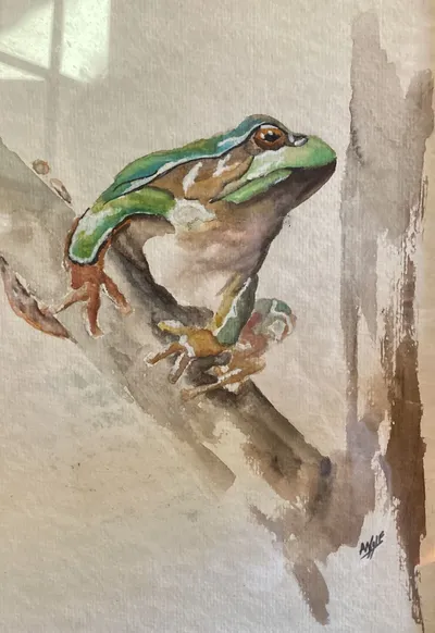 Tree Frog