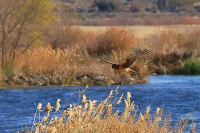 Wetlands Park, Las Vegas, NV