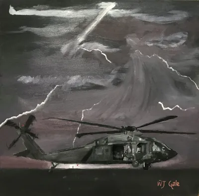 Stormy Blackhawk
