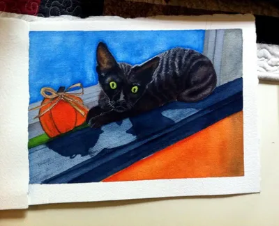 Sambucca my Devon Rex Cat