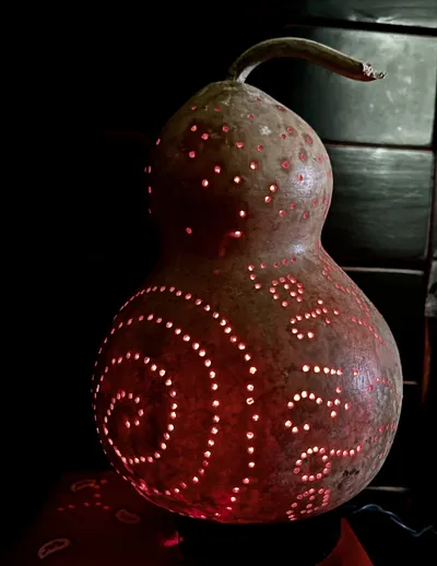 Found in Jim’s Garden, front