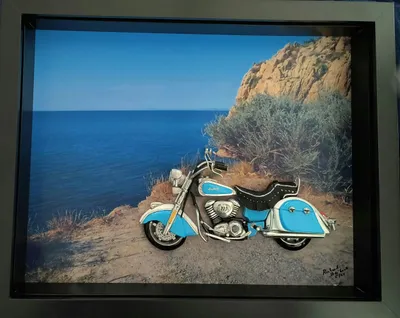 View - 2020 Indian Springfield