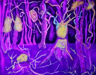 Forest of Fear (Under Blacklight)