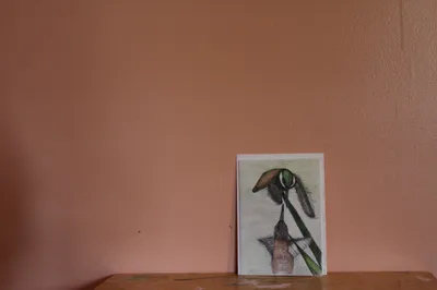 Humming Birds In Flight