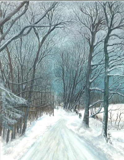 Winter Road in Danville