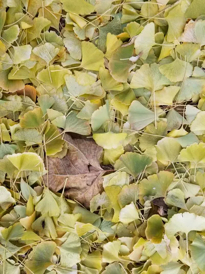 Buried In The Memories