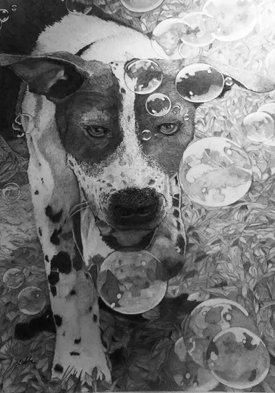 Baxter and his Bubble machine