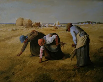 My master's copy of "The Gleaners" by Jean-François Millet