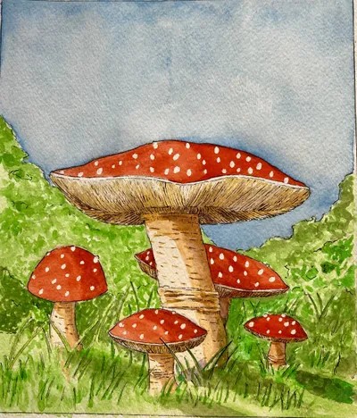 "Amanita Muscaria"