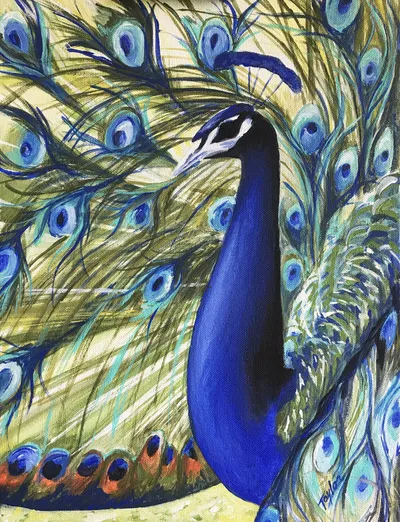 Peacock
