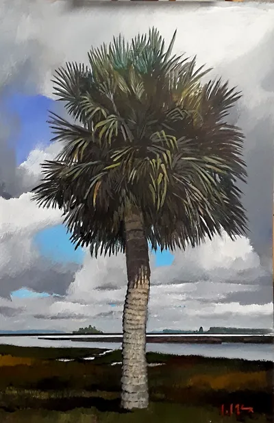 Torras Causeway Palm