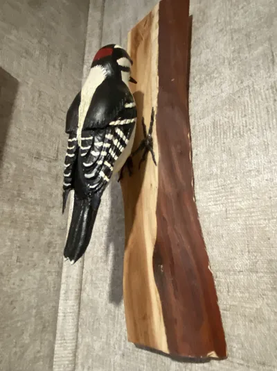 “Downey Woodpecker”