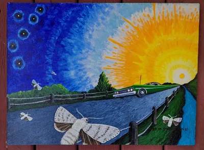 Dagger moths of fury