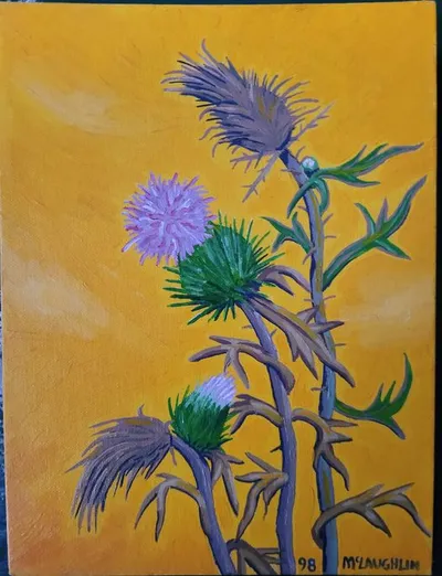 Half dead thistles
