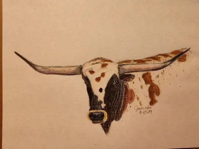 Longhorn