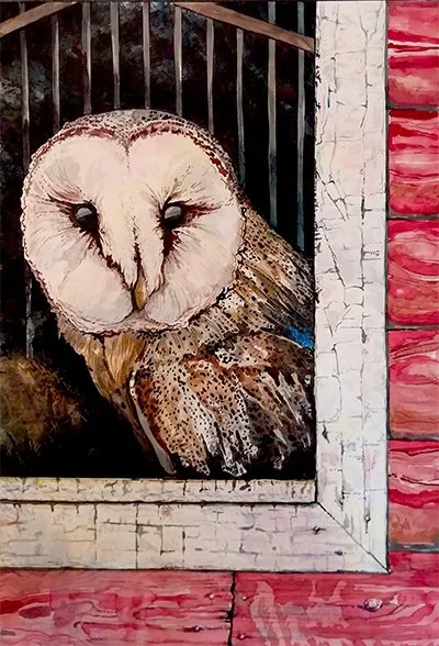 Barn Owl: Peering Out a Hayloft