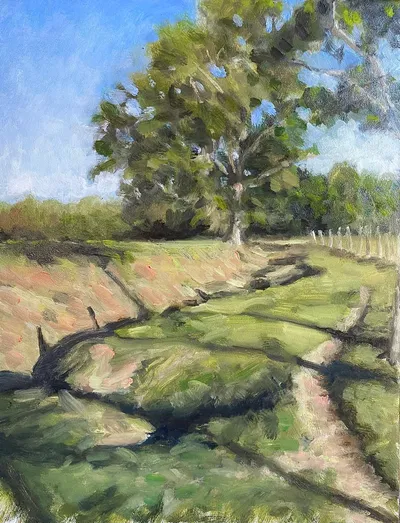 Pasture in Afternoon