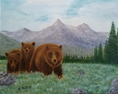 Bear Family