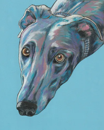 Blue Dog