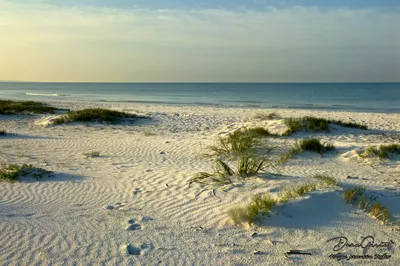 Footprints in the Sand