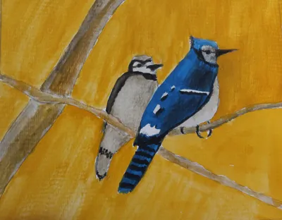 Blue Jay mates