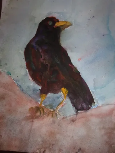 watercolor study in mixing colors to make black