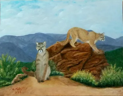 Cougar Lookout