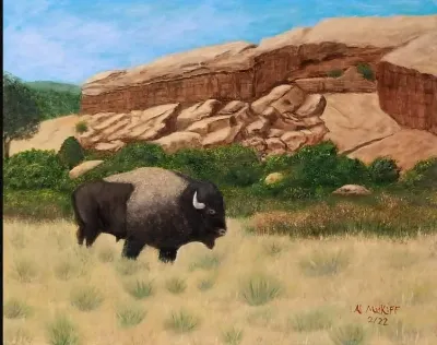Tatanka Visits Red Rock