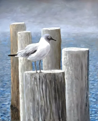 Gull On a Post