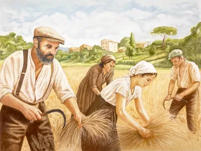 Farmers Harvesting Wheat