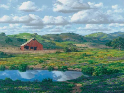 Reflections on a Spring Day