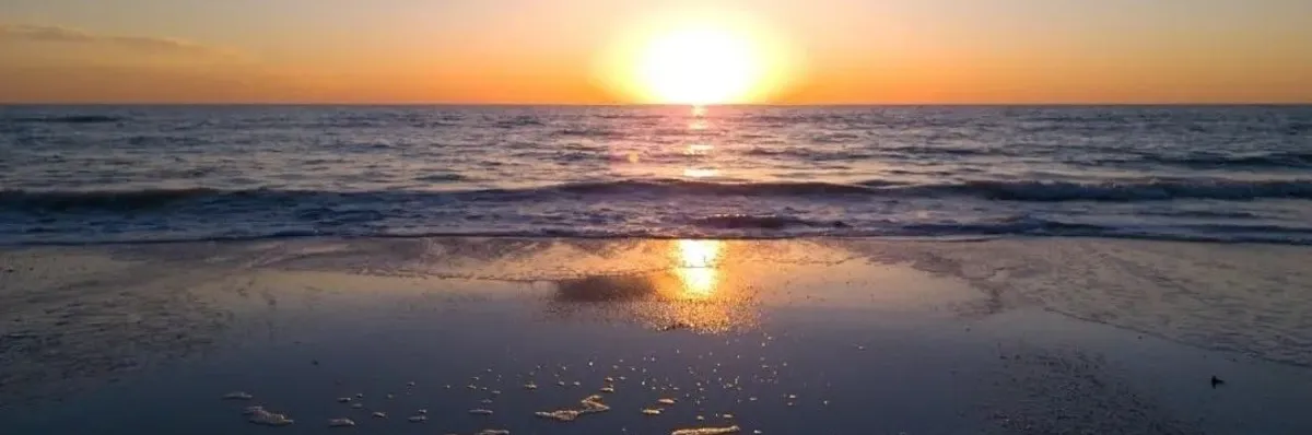 Loren Marie Petroccia