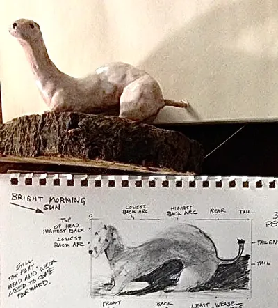 Animal #8 Least Weasel