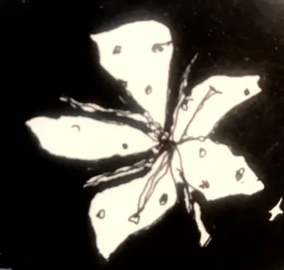 Flower #9 American Plum