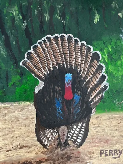 Trophy Turkey